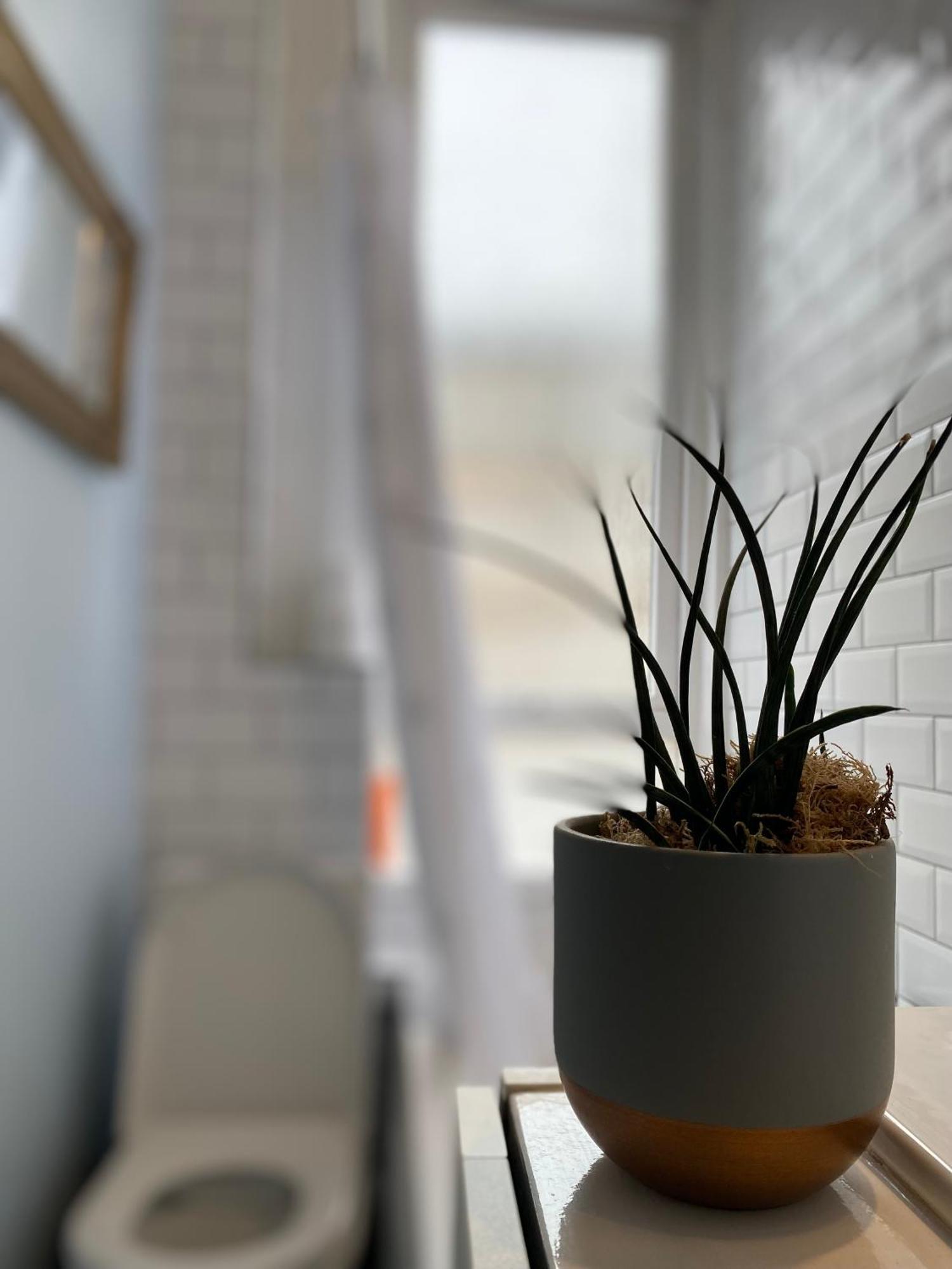 Charming 1 Bedroom Edinburgh Apartment Ngoại thất bức ảnh